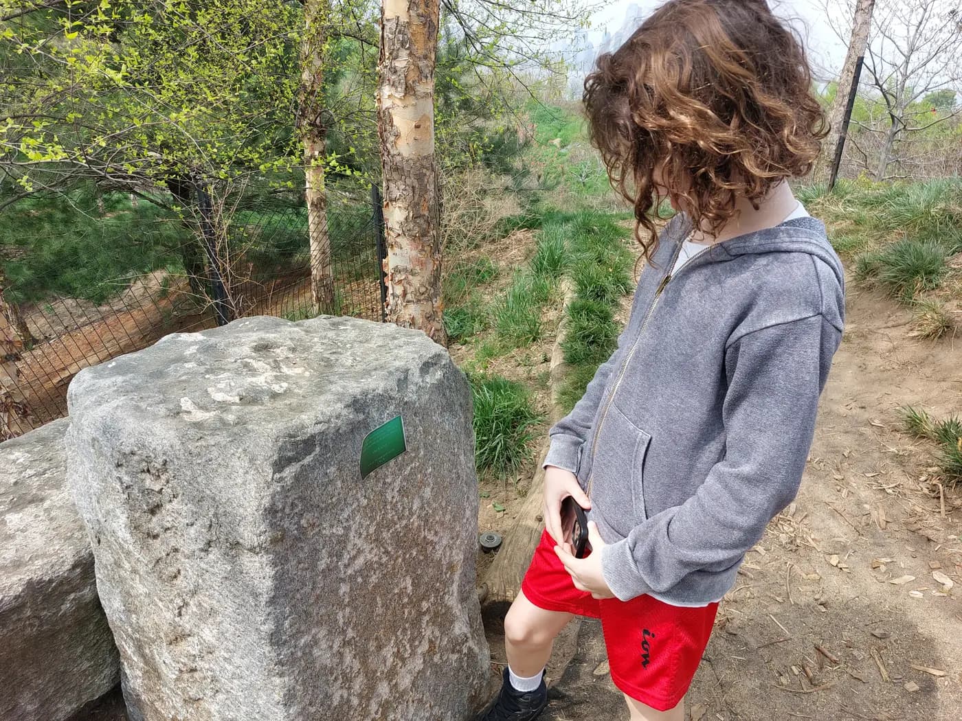 A child in a city park, photographed from behind, standing at a large rock and examining a small green marker set into its face.
